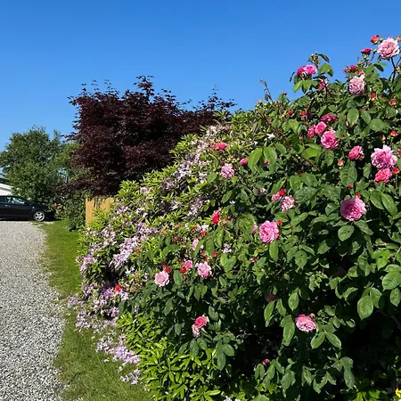 Family-friendly Summer House Near The Сasa de vacaciones Otterup
