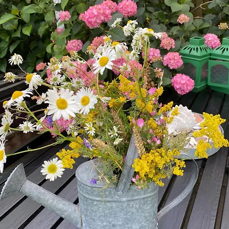 Family-friendly Summer House Near The Otterup