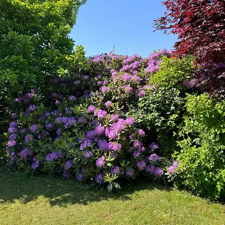 Family-friendly Summer House Near The