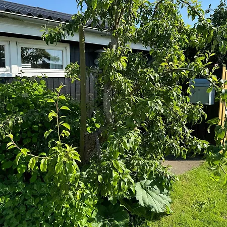 Family-friendly Summer House Near The Holiday home