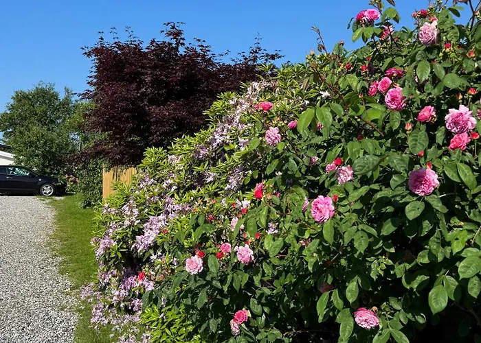 Family-friendly Summer House Near The Сasa de vacaciones Otterup