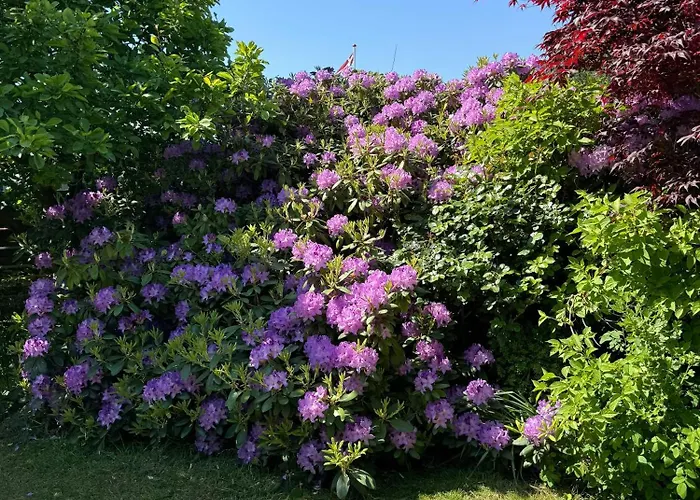 Family-friendly Summer House Near The