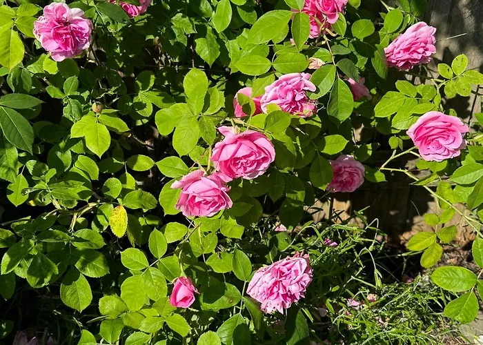 Family-friendly Summer House Near The Otterup